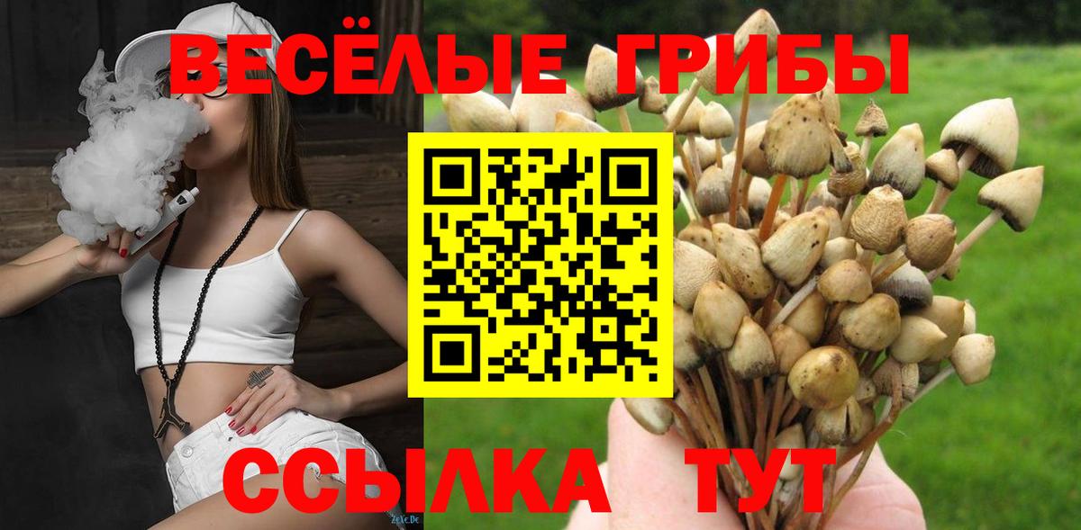 Тольятти  Псилоцибиновые грибы MAGIC MUSHROOMS  Псилоцибиновые грибы прущие грибы  Вход с VPN 